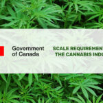 government logo and blog title
