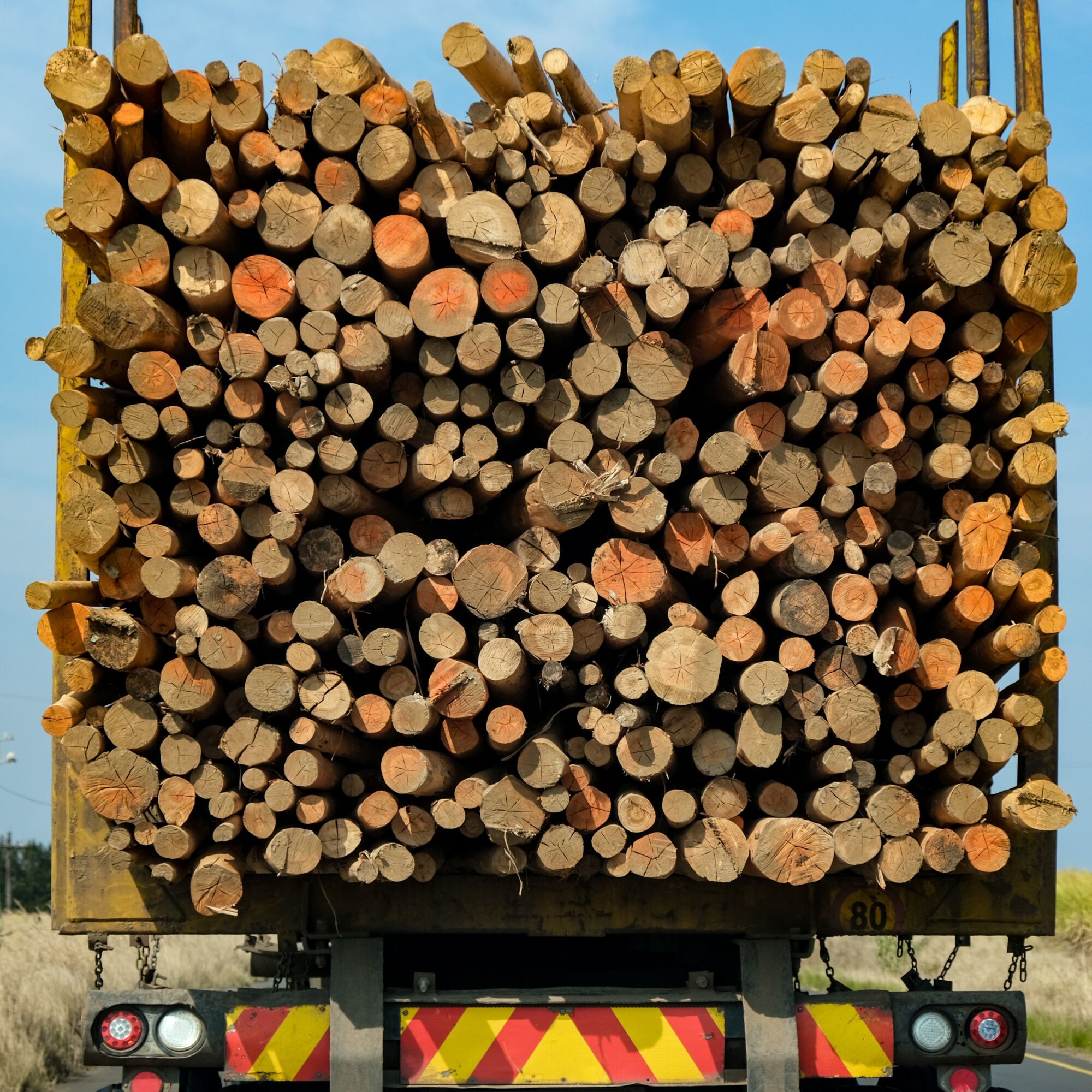 logging truck